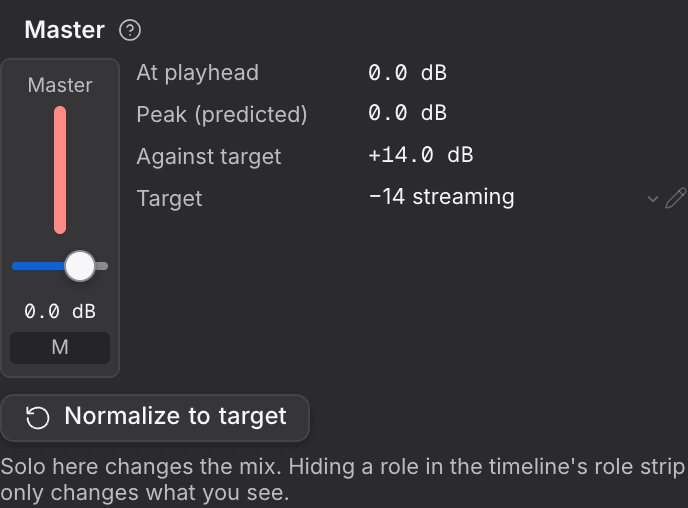 The Master section of the Mixer tab, showing the master fader beside the loudness readings and the target.